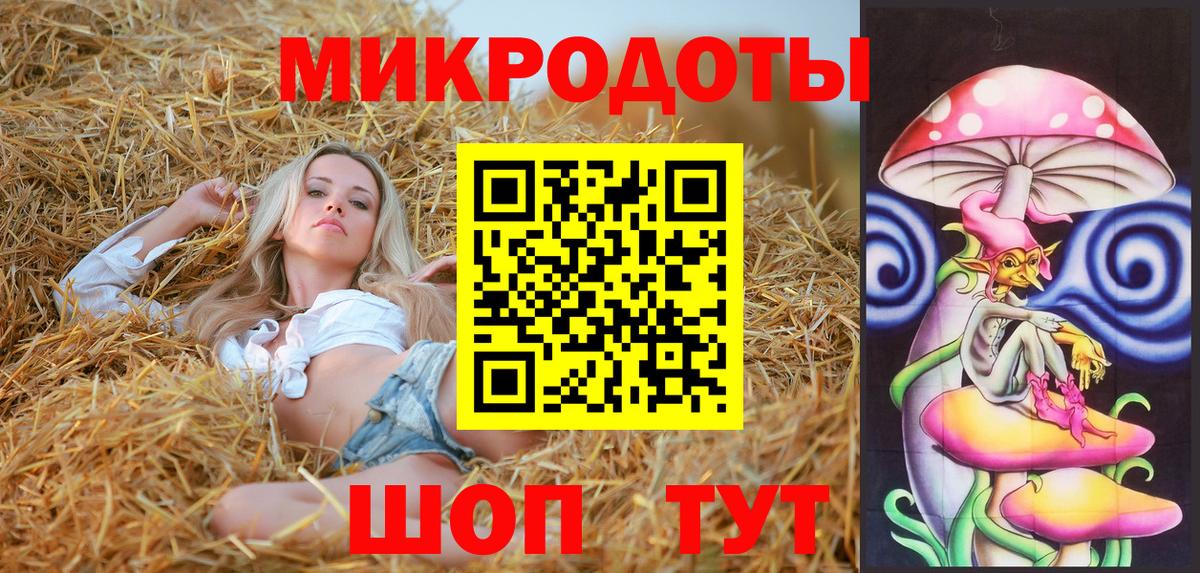 Новокубанск  Псилоцибиновые грибы Psilocybine cubensis  Вход с VPN 